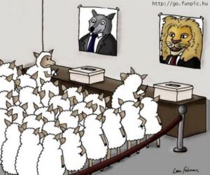 Választás - ahogy a rajzoló látja