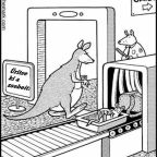 A szabály az szabály!