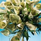 Opten: május a második legrosszabb hónap a magyar cégstatisztikában