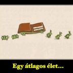 Pénzcsipesz, avagy inkább ide tedd a pénzed