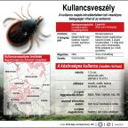 Kullancsveszély