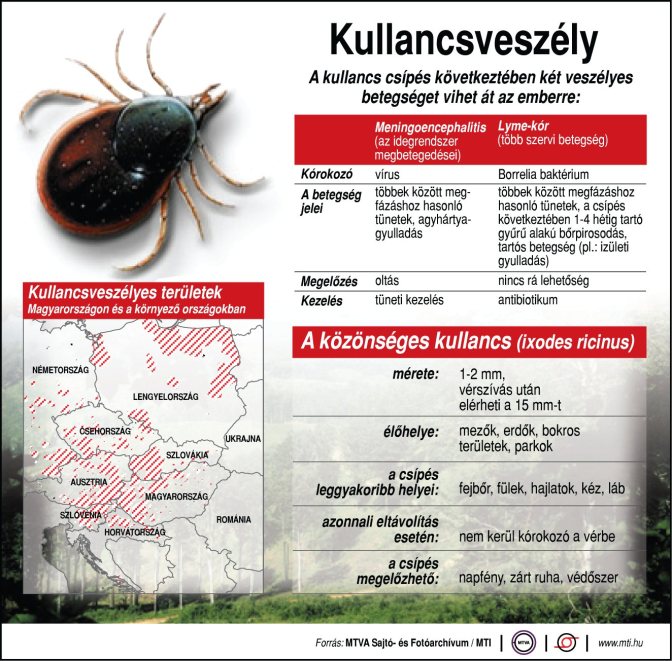 Kullancsveszély