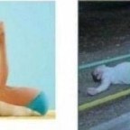 Speciális jóga pozitúrák 4.