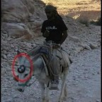 Eredeti német gyártmányú öszvér :)