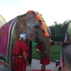 Mesebeli indiai esküvőt tartottak a dél-olasz Pugliában