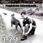 Amikor elveszítetted a fogaidat…