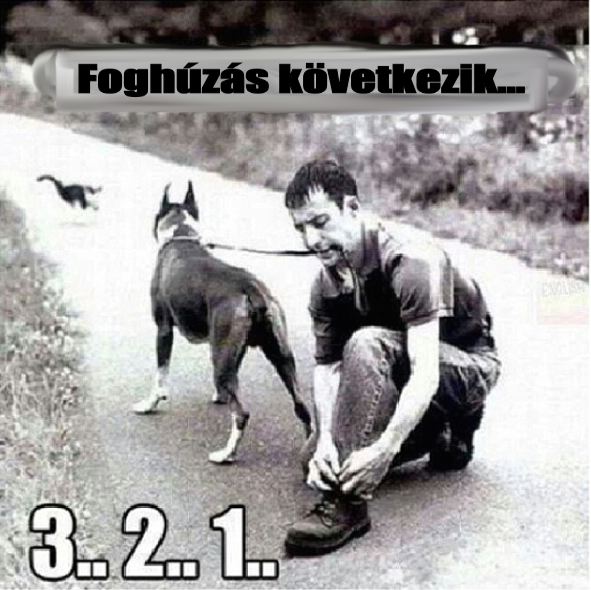 Screenshot_2014-09-16-23-09-08