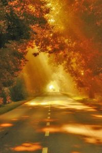 0f9f05c69a03ff4079be281f2d010e5a