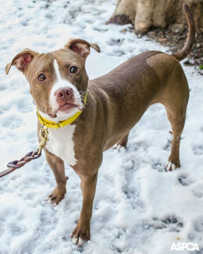 A kutyafáját, ez meg már milyen idő??