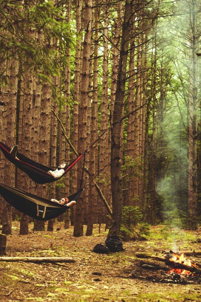 ... ha medve jön, csak az asszonyt éri el...