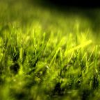 Kertészkedésre fel!