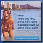 Alapvető tévedés…