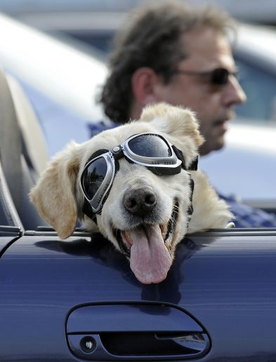 c52c707729c92c6df2d2b0727d470343