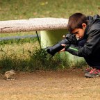 Az Év Fiatal természetfotósa mindössze 9 éves
