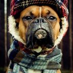 Most miért nézel így rám?