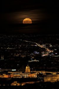 4913fb8a081cbab08e9398e2f82f160a