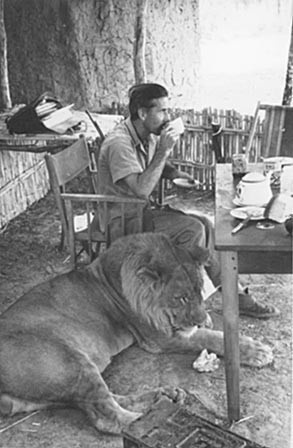 570b11933de95716ce4bcf84219d8675