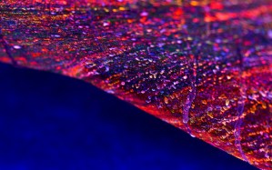 c772b1b6da106af3f367ef64c8cf8e11