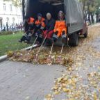 Mai fotótémánk: a lustaság :)