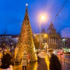 A Hello Wood különleges karácsonyfája Budapesten