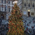 Egy nem kicsi karácsonyfa…