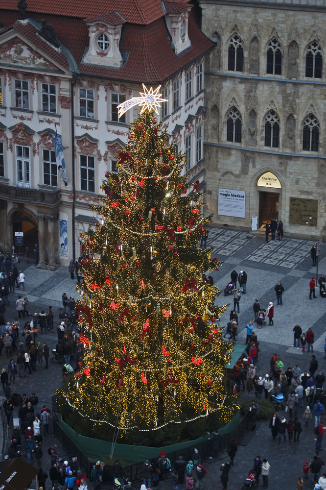 Karácsonyfa áll a karácsonyi piacon az Óváros téren 2014 november 30-án Prágában. Karácsonyi vásárok, forralt bor, sült gesztenye, forró mézbor, és karácsonyfadíszek kaphatók az első adventi hétvégén.