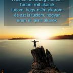 Egy kis hozzáadott érték a sikeredhez :)