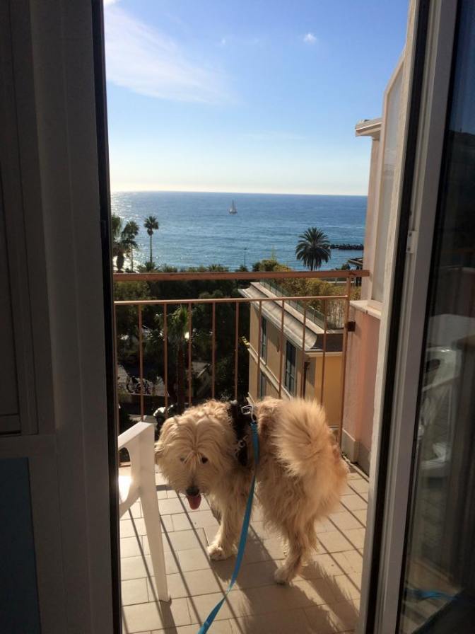 10690170_921555211202502_8469144618706324045_n