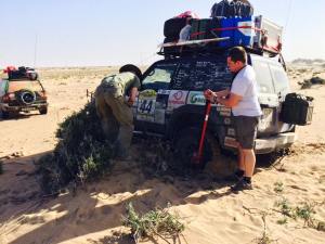 1509785_10205202222351705_1892142852432935198_n