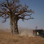 Az Ebola járvány ellenére két hét múlva rajtol a Budapest-Bamako