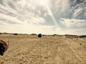 1920189_10205635910754085_88289558527080280_n