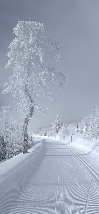 5557420be9938e385ce840859f564c8f