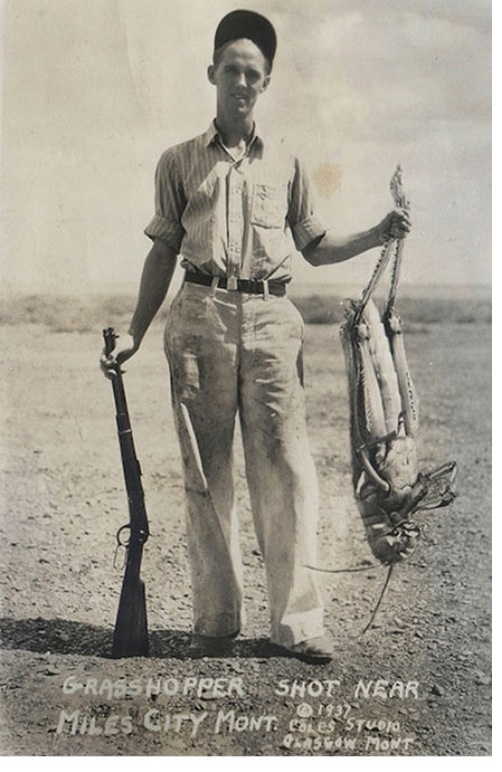 Ha 1937-ben ekkora szöcskék éltek arrafelé, akkor mi lehet ott most...?!