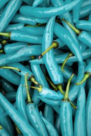 c4ca3712ad269eff9d5d419a5268c4d9