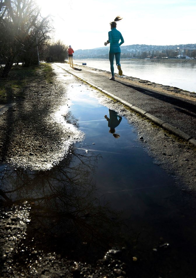 Budapest, 2015. január 10. Futók a Margitszigeten 2015. január 10-én. Budapesten megdõlt a napi melegrekord, a belvárosban 16,7 Celsius-fokig melegedett a levegõ. A korábbi legmagasabb hõmérsékletet, 15,1 fokot ezen a napon 2007-ben mérték ugyancsak a belvárosban. MTI Fotó: Bruzák Noémi