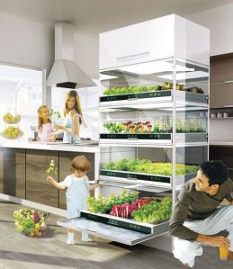 organic-indoor-hydroponic-garden