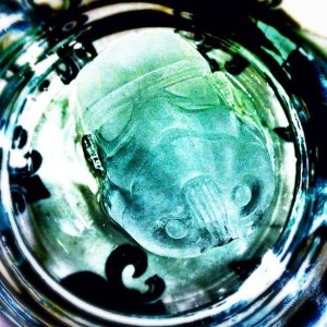 Star-Wars-Stormtrooper-Silicone-Ice-Cube-Tray