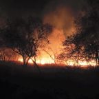 JJ, azaz Janó jelentkezik! – 2015.02.02.07.00.