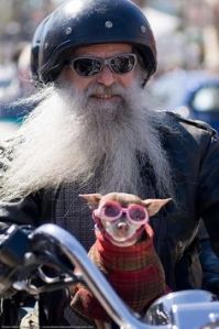 51eb7b04ab11e1efafffa739e72efc81