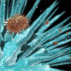 Influenza – OEK: országos influenzajárvány van