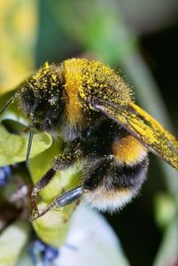 7b588b400125aad423571933537ae770