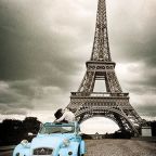 Párizsban hétfőn csak a páratlan rendszámú autók közlekedhetnek