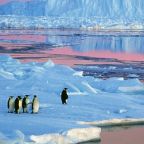 1610-ben kezdődhetett az ember alakította új földtörténeti kor