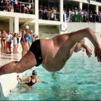 Pocak, pocak, pocak…