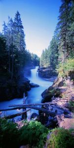 b570fe9dd4e8013a0ed569b2bad1767a