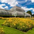 A klímaváltozásnak ellenálló új kávébabot keresnek a brit kutatók