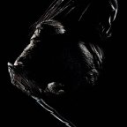 Ragadozók – Predators (2010)