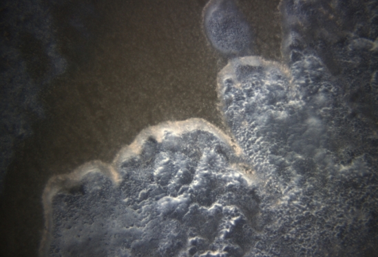 Seafloor methane seep