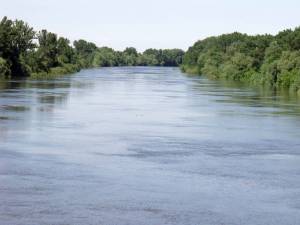 tisza
