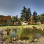 Katalinpuszta a hangyák birodalma